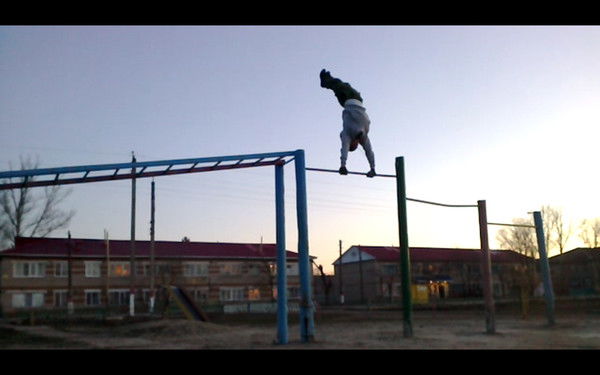 Дмитрий Ипполитов