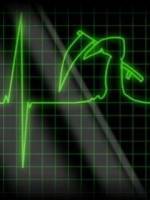 Рим Мунипов