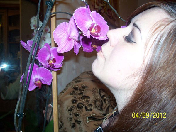 Елена Фирсова