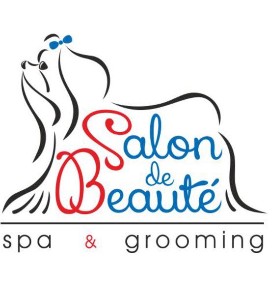 Salon De Beaute Salon De Beaute