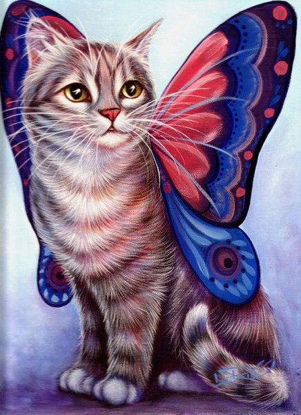 Задира Задира