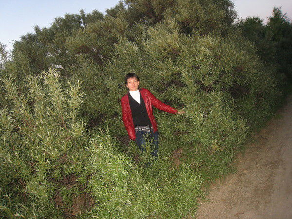 Жанель Малдыбекова