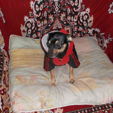 Потапова Светлана