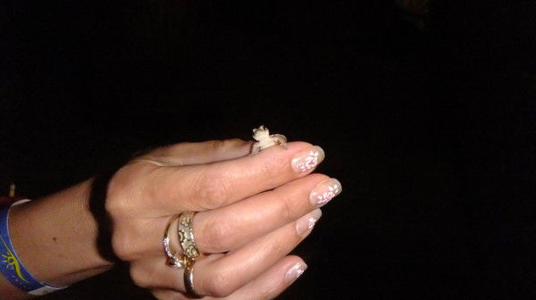 Наталья Селиванова