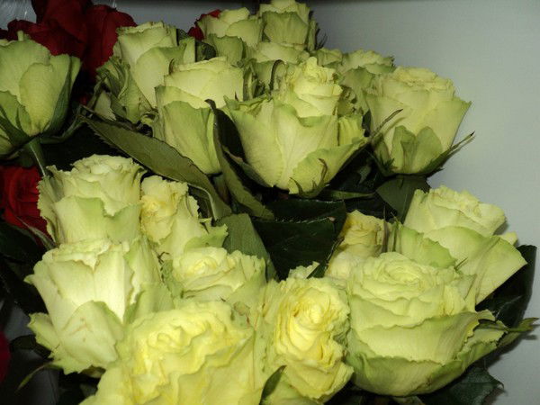 Юлия Кузьмина