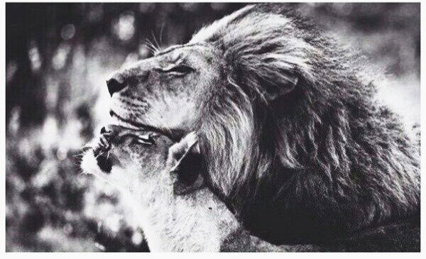 Медеу Абдираманов