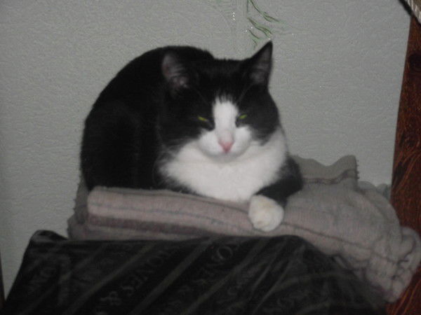 Павел Архипов