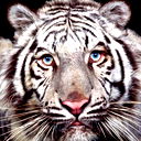 Владимир Макушин