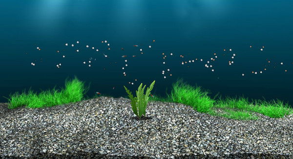 Серёжа Парфёнов