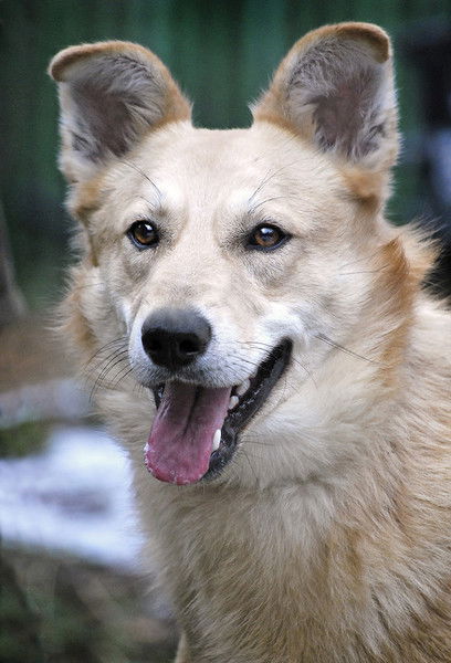 Марина Харитонова