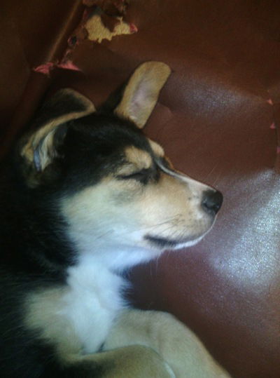 Данила Епимов