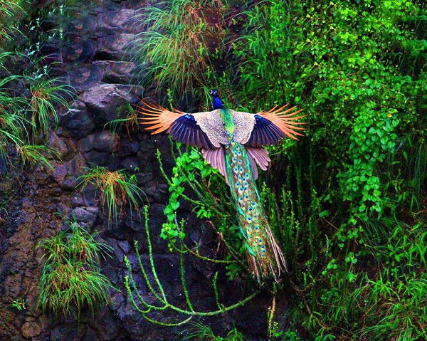 Любовь Соболева