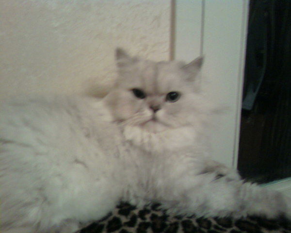 Зуфар Дюсметов