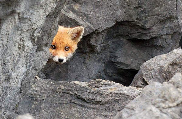 Олеся Пыстогова