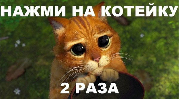 Евгений Сомкин