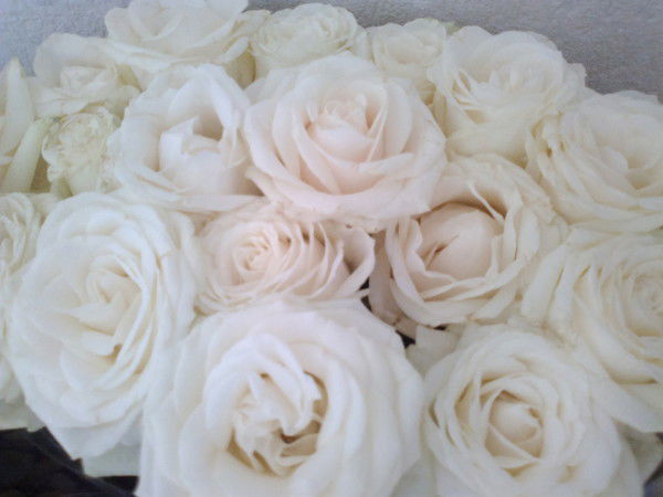 Татьяна Захарова