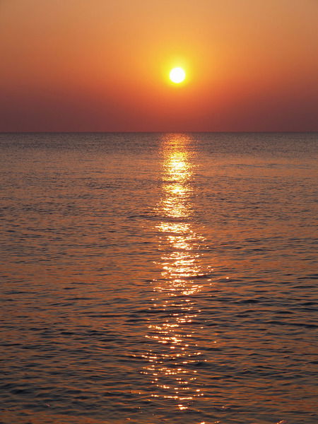 Саша Сергеев