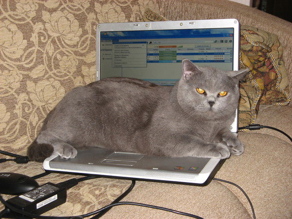 Ракутин Иван