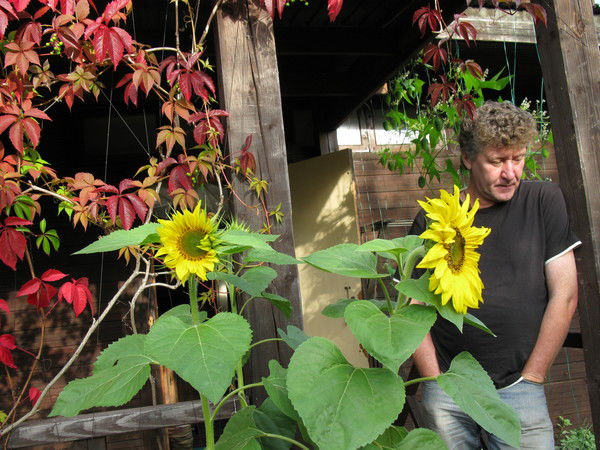 Райков Виктор