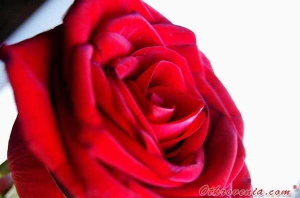 Темир-Собес Темир-Собес