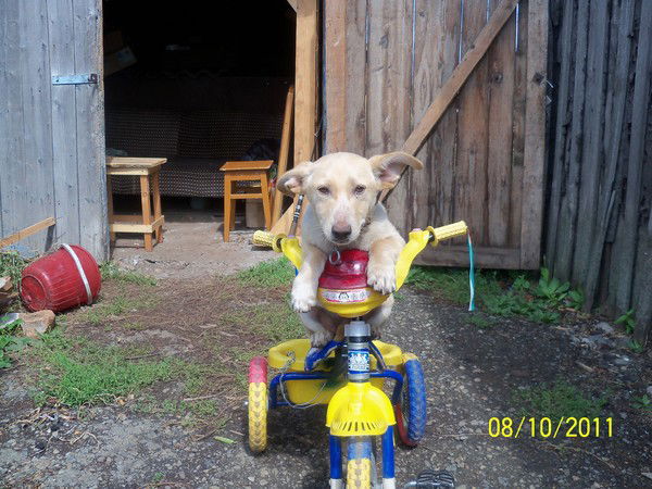 Сергей Аксютин