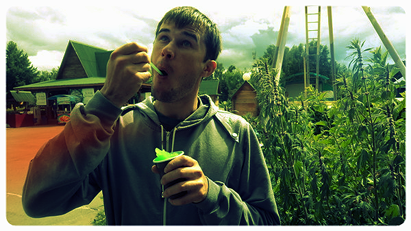 Евгений Винтер