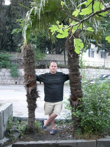 Максим Трояновский