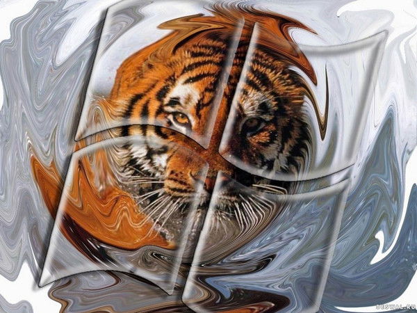 Андрей Тупицин