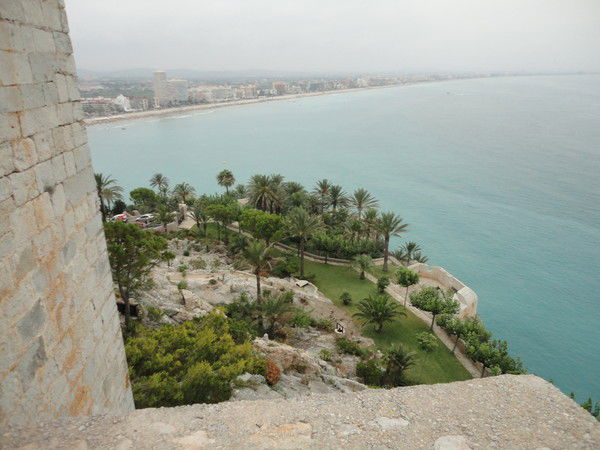 Антон Рапенок