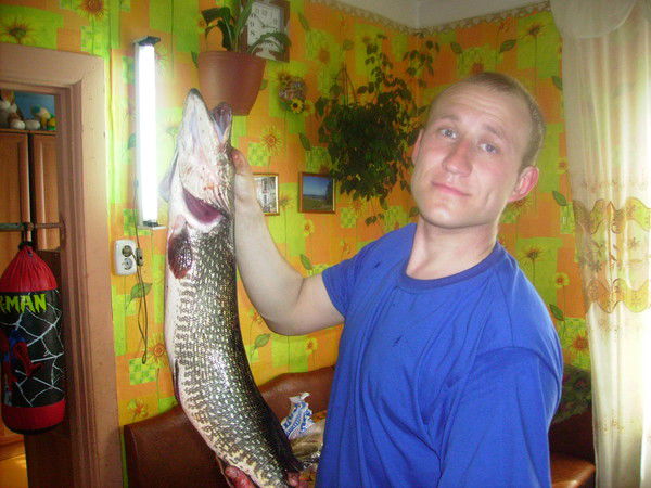 Алексей Павлов