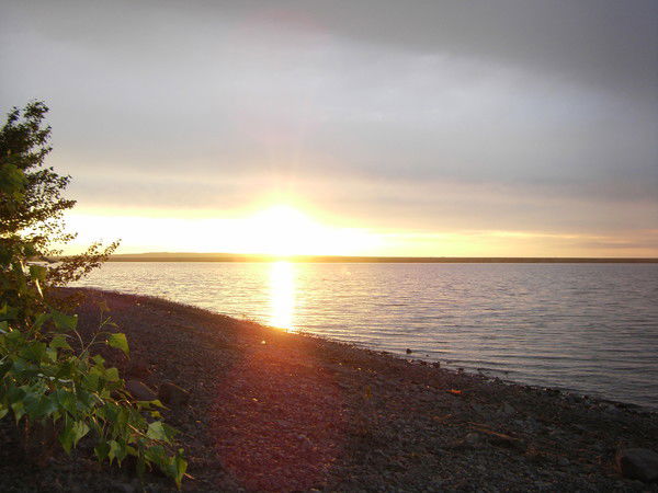 Юлия Богатова