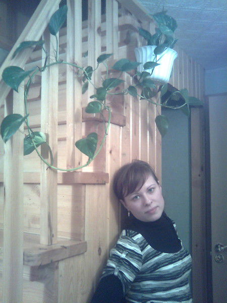 Елена Шулаева