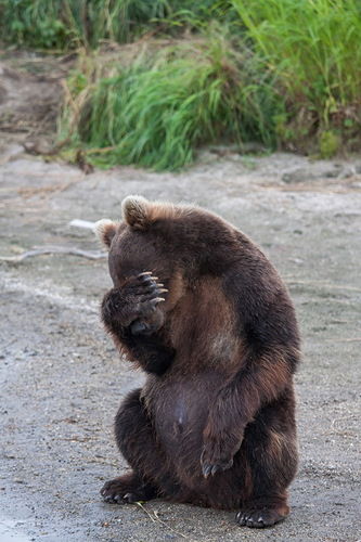 Горячая Линия