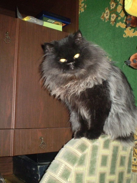 Марина Маркина