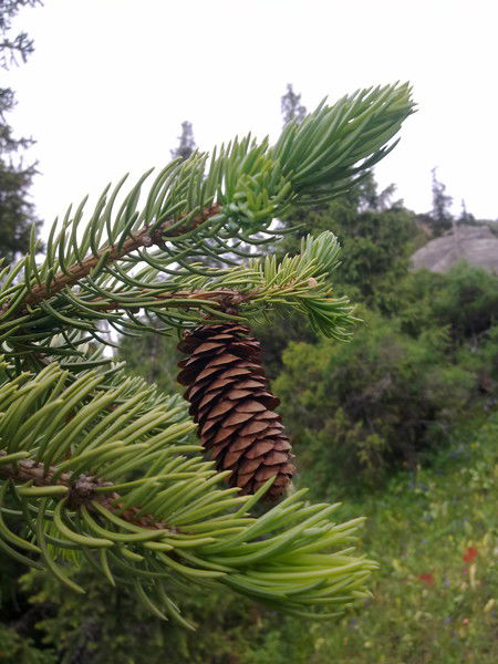 Сталбек Андакулов