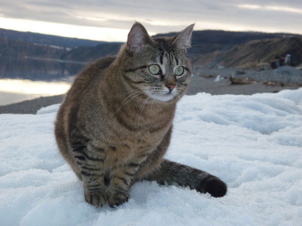 Татьяна Назарова