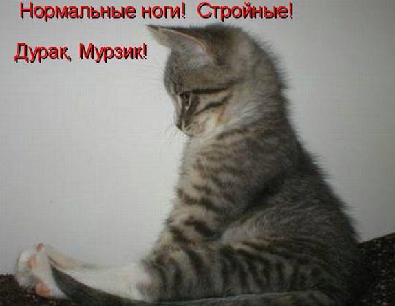 Антонина Чернова