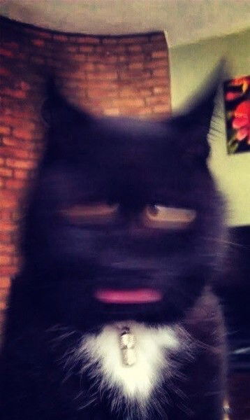 Эльвира Хайруллина