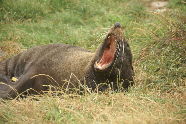 Валерия Клеблеева