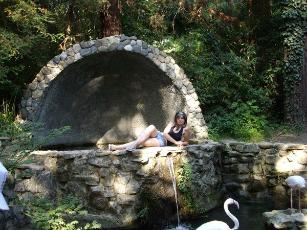 Елена Бочкова