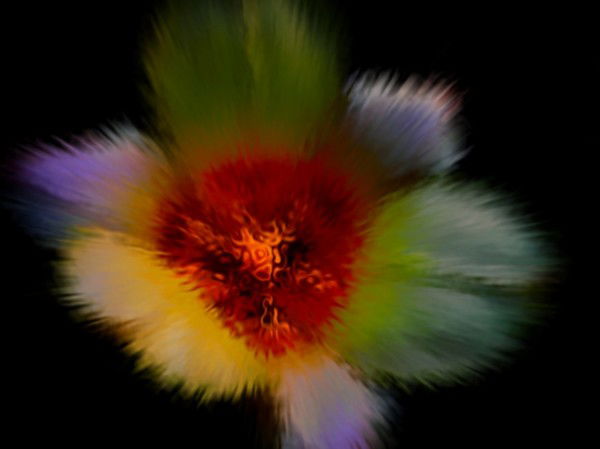 Никита Острожнов