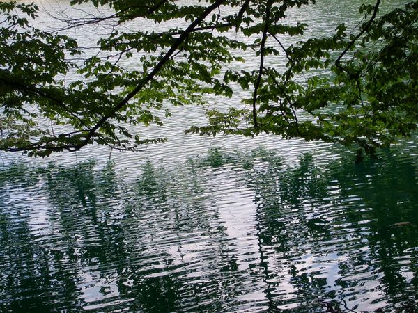 Раиса Филатова