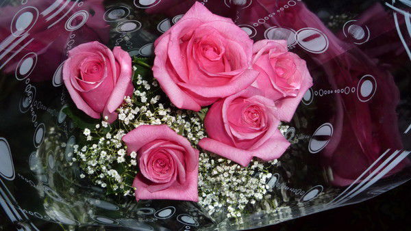 Краснова Илона