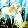 Светлана @@@