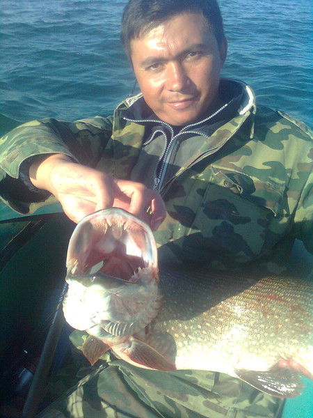 Евгений Кулябин