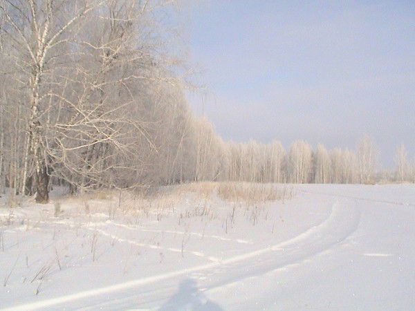 Михаил Самойлов