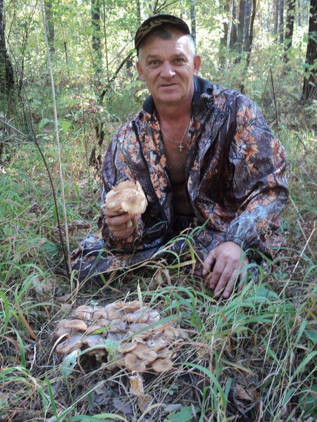 Александр Ведерников