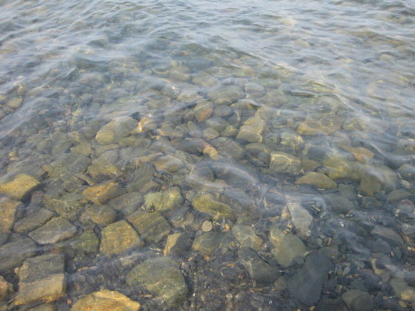 Наиль Абзалов