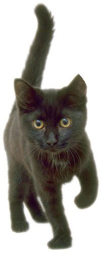 Ольга Михасёва