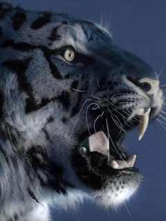 Антон Кадочников